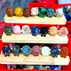 Búhos multicolor
