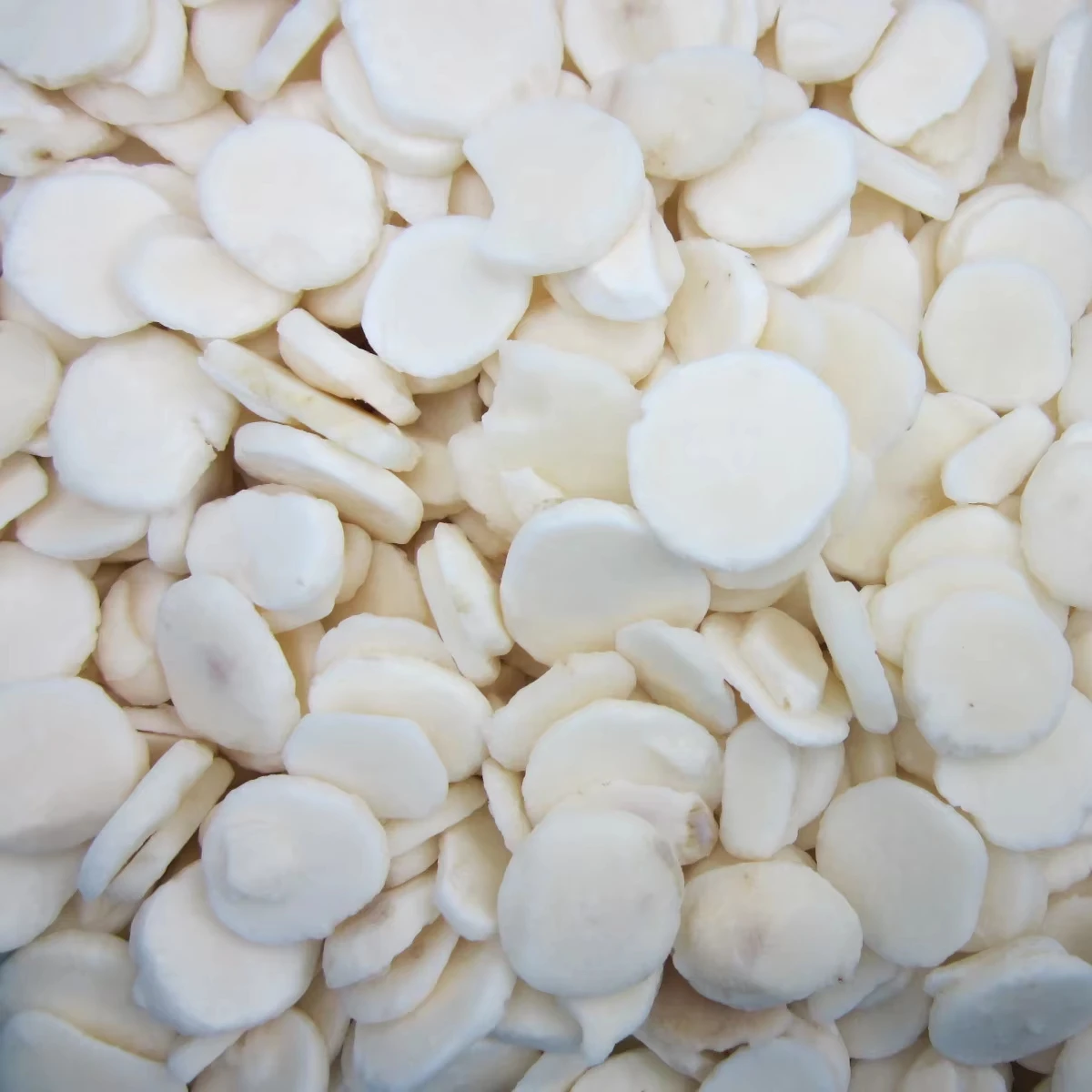 Veľkoobchod kúskami zmrazených púčikov vodnej chestnutky IQF Zmrazené púčiky vodnej chestnutky IQF pre supermarkety