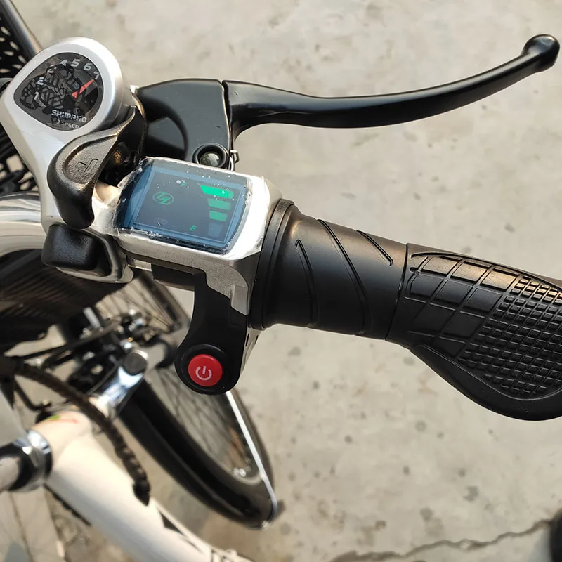 Italia bicicletta elettrica di fascia alta bici elettrica cina