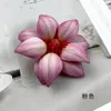 Double-layered - Pink