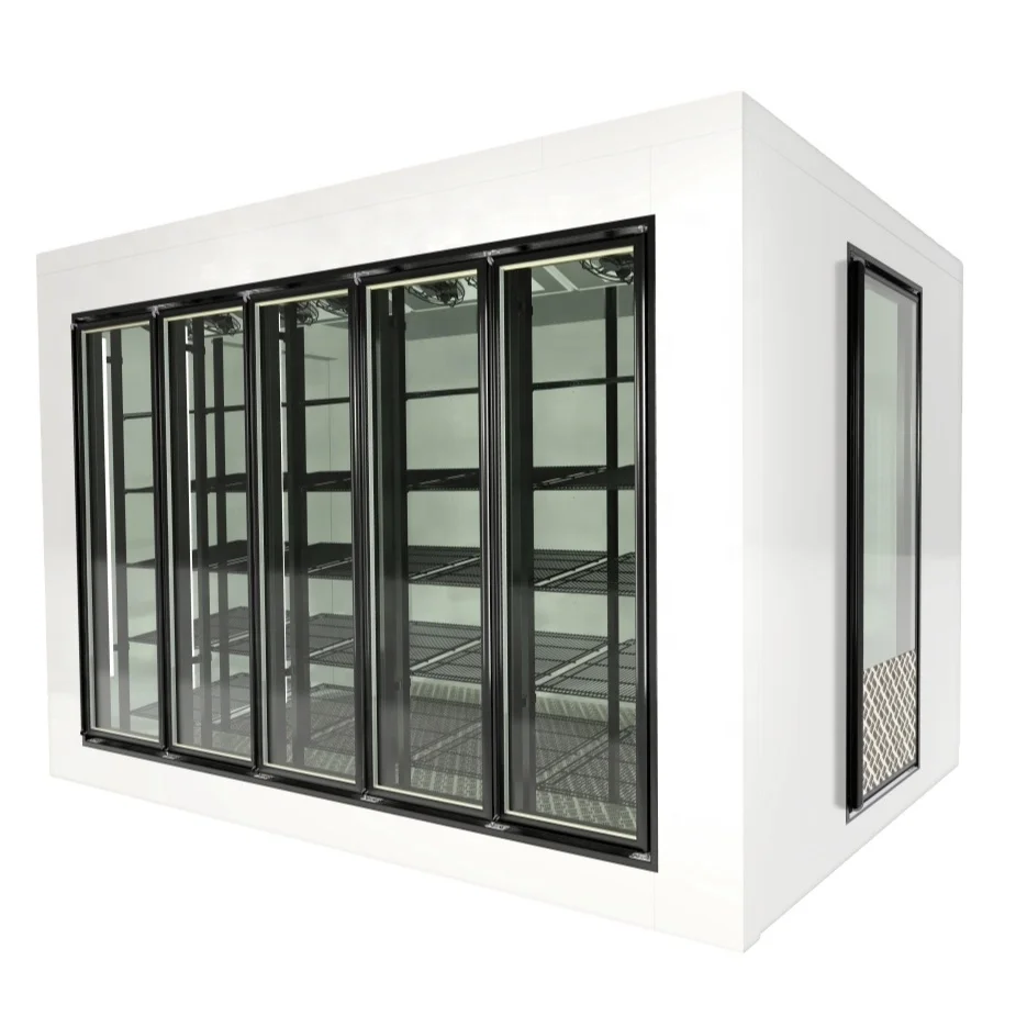 Anti-sweat refrigerator glass door/cold room glass door with shelving