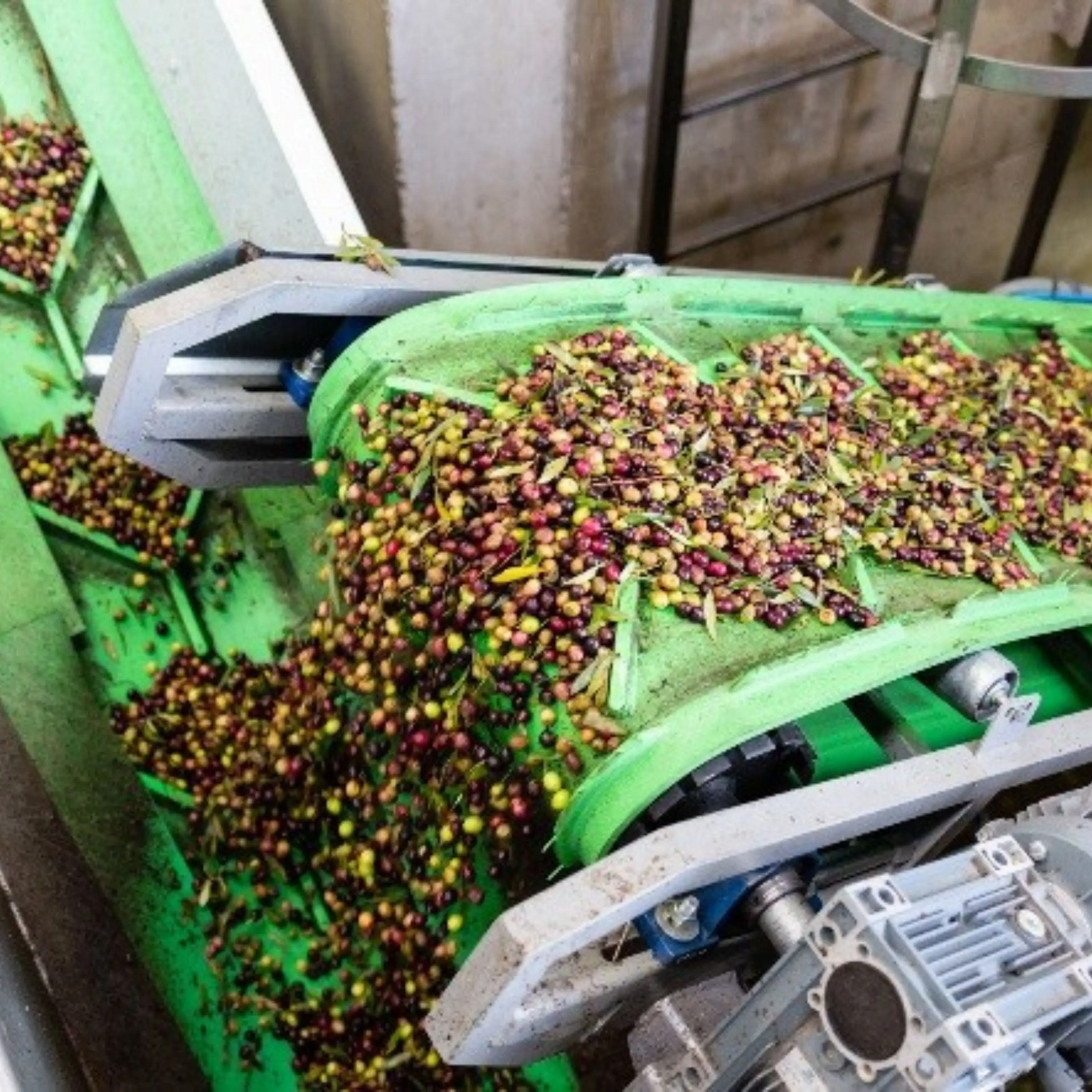 Собственная Марка оливковое масло Экстра девственницы 250 мл Стеклянная Зеленая Бутылка первая холоднопрессованная сделано в Испании