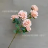 กุหลาบ 6 ดอก - สีชมพูอมฝุ่น