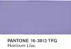 Heirloom Lilac