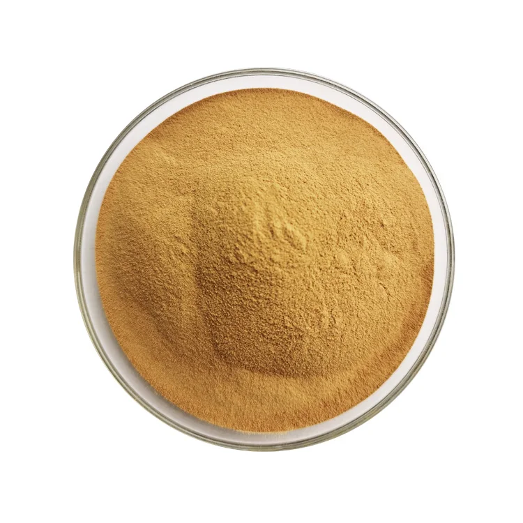 Pure Natural 10:1 Radix Isatidis Isatis Indigotica Fort Extract Indigowoad Root Extract