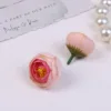 A peach pink flower