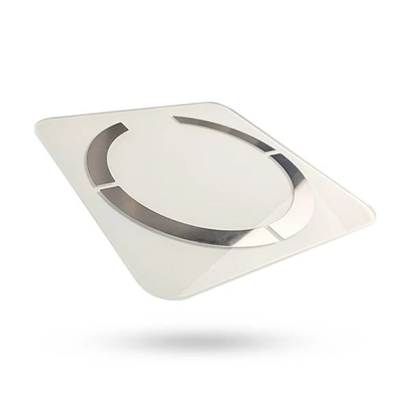 Smart Fat Scales 1.jpg
