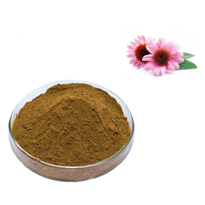 Echinacea Purpurea Root Extract Echinacea Angustifolia Extract Buy