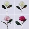 MSH-R091    เอ็มเอสเอช-อาร์091