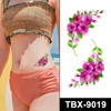 TBX-9019