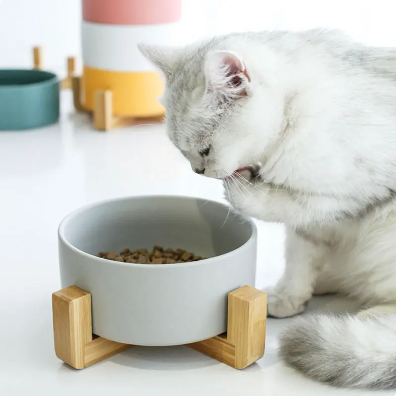Bol Double Pour Chat/chien Anti-dérapant - Pour Nourriture Et Eau - Intérieur/extérieur - Orange - 4