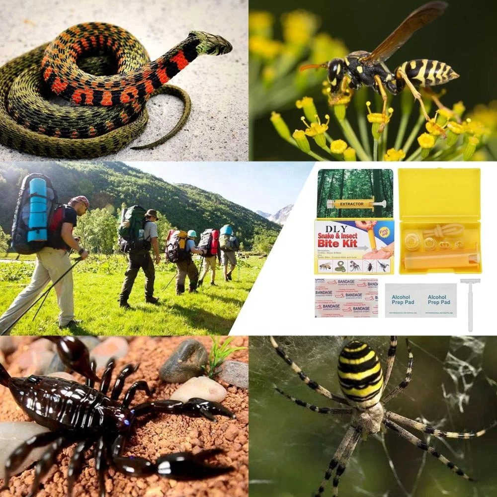 Colorful Snake & Insect Bite Kit For Outdoor Survival First Aid Kit