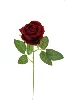 Rosa roja