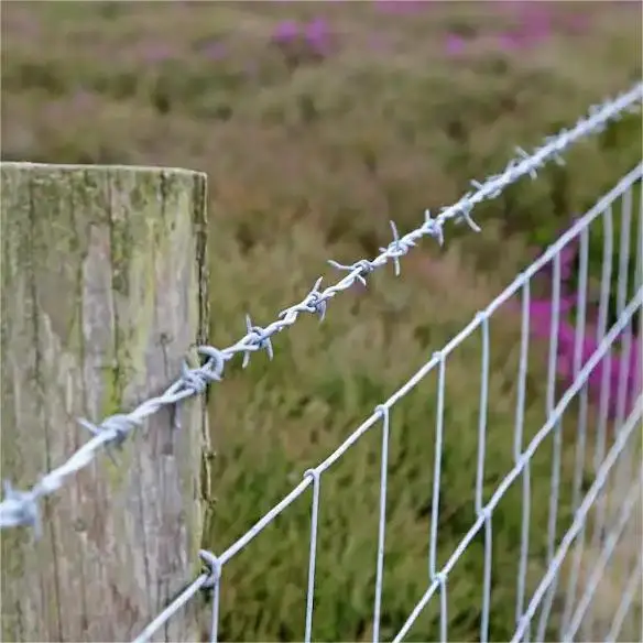 High Quality Low Price of Extension Arm 2 7/8 Security Barriers and razor Barbed Wire in Bangladesh