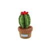 cactus1