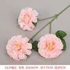 3 hibiscus flowers