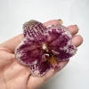 1 pcs copor 32