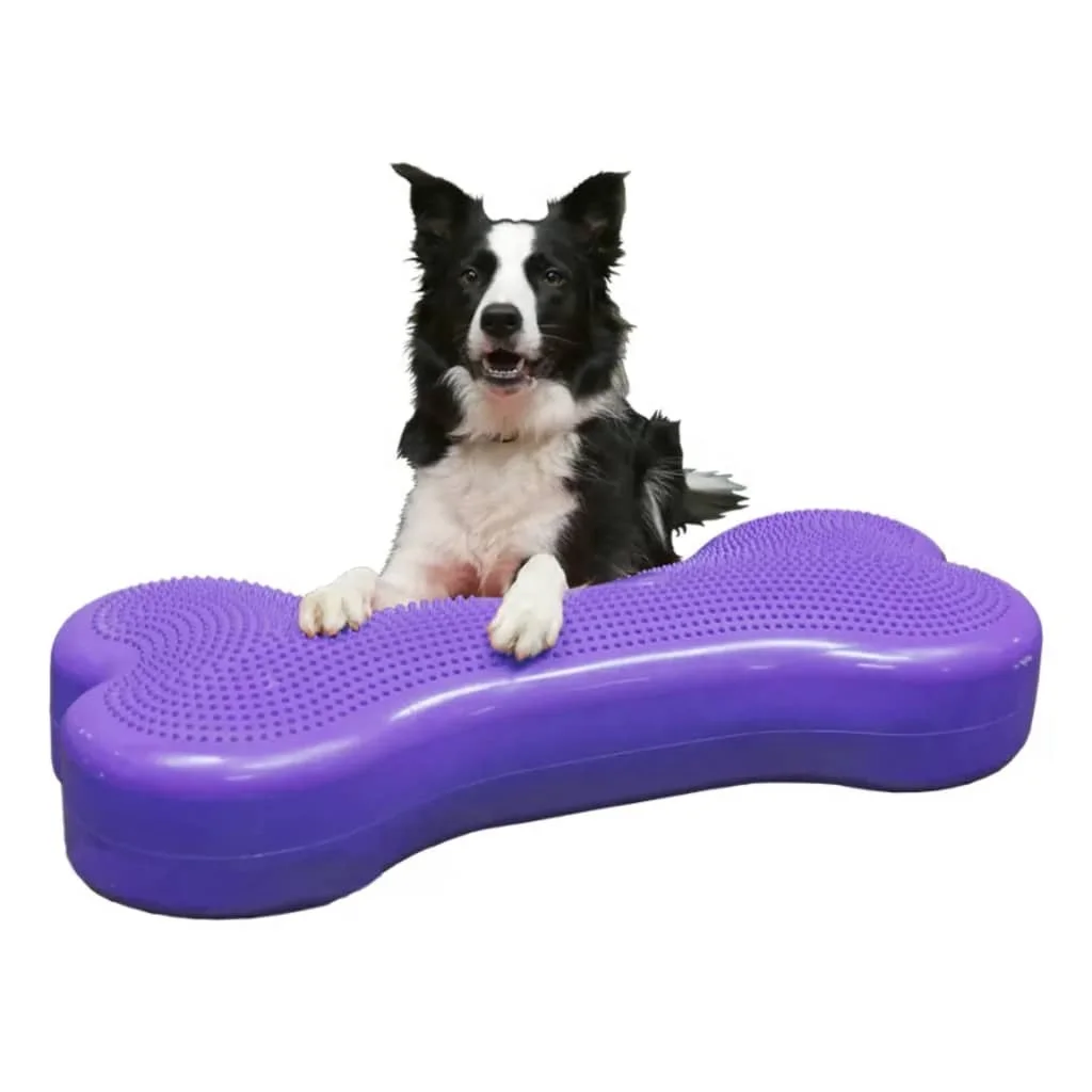 Ball Dynamics Balance Training Device 58 X 29 X 10 m Sky Blue for Dog Training