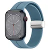 Bleu-argent premium
