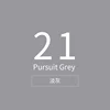 -#21_Pursuit Grey