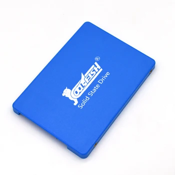 Cool Fish SATA SSD 2.5 Inch External Drives 64GB to 1TB PC Storage Solutions Used for Laptop & Server Application