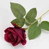 Velvet Rose [Wine Red]