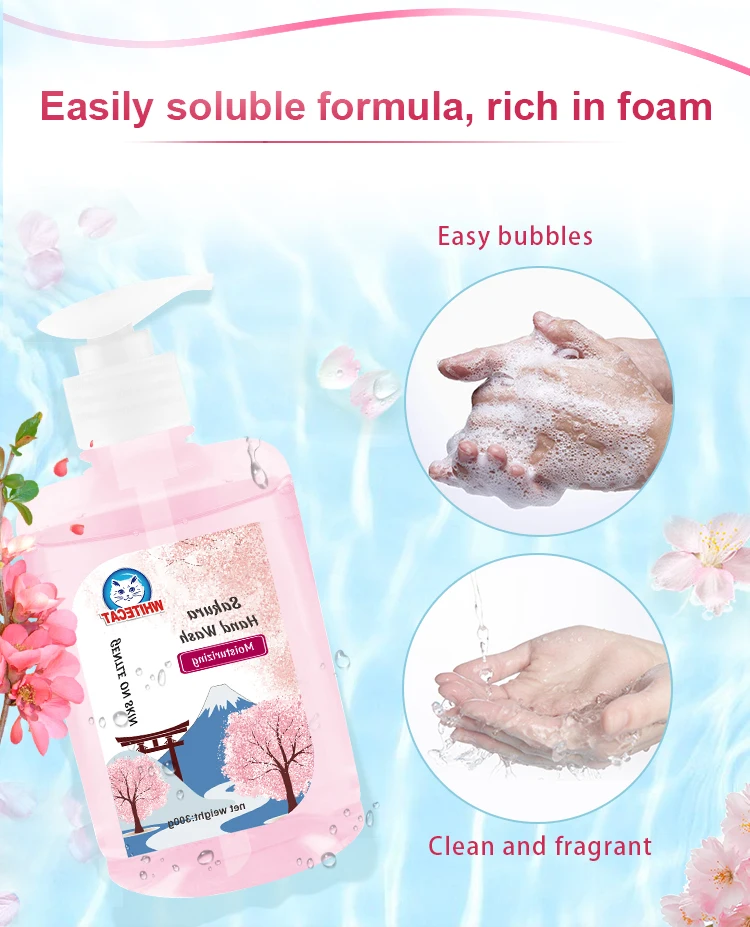 Long-lasting Customized Fragrance 500ml Natural Liquid Hand Wash Soap With persistent antimicrobial protection factory