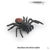 Araña de terciopelo rojo brasileña