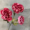 Peonía estilo chino