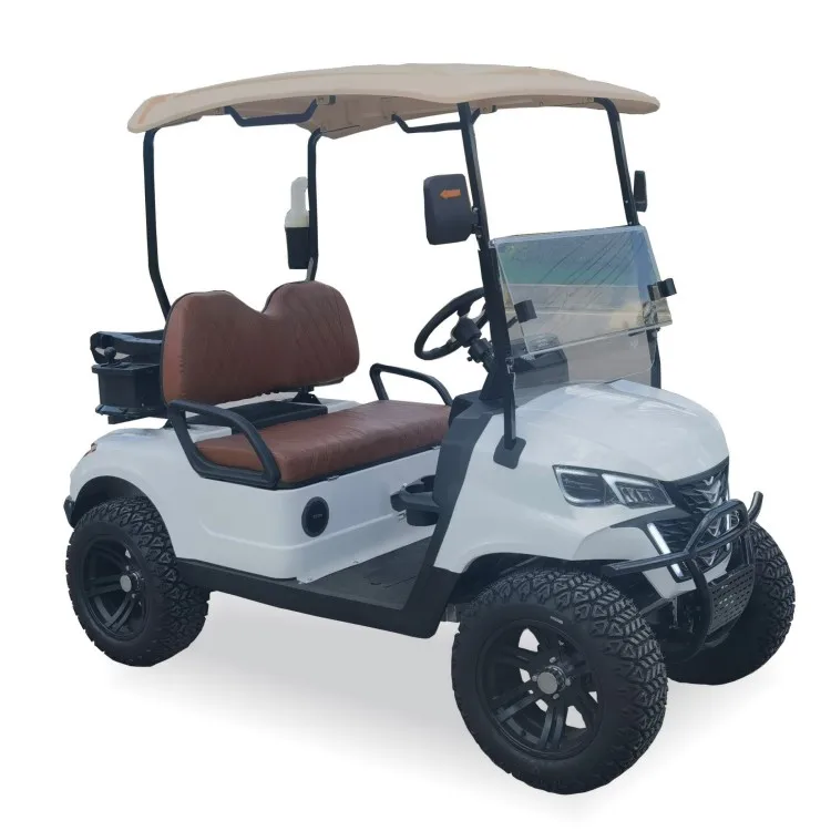 300CC Two Seater Club Car Gas Powered Golf Cart 45km/h - Main Image