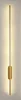 Type B Gold