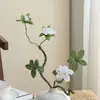 อาซาเลีย - สีขาว
