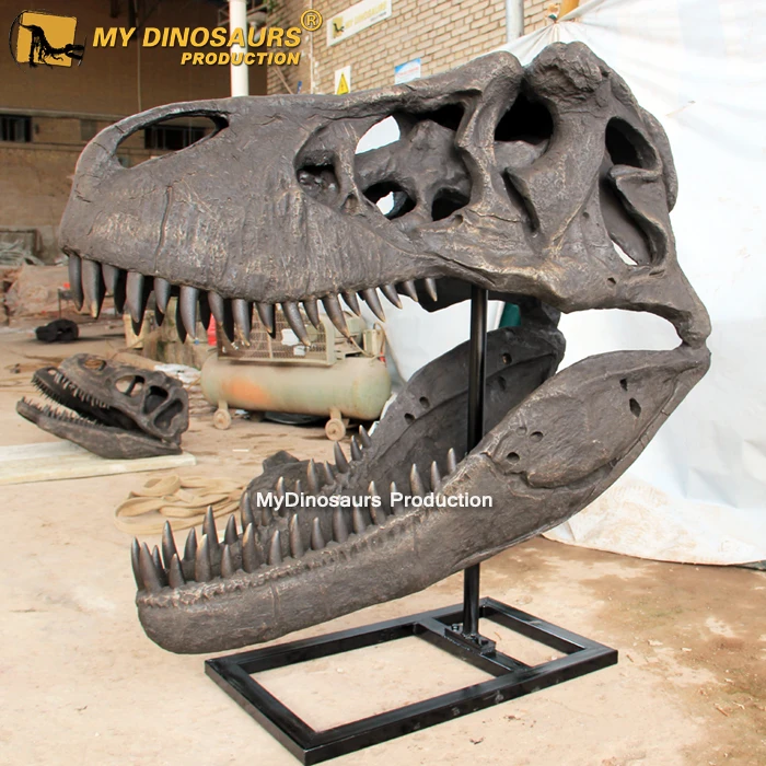 Wholesale Meu dino d27 tamanho original esqueleto do dinossauro t rex  modelos From m.alibaba.com