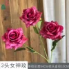 3-Headed Goddess Rose WY Rose Red