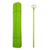 verde 1