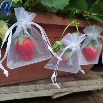 Sacs De Protection Pour Fruits - Lot De 100 Filets En Maille Avec Cordon - 3 Tailles (S, M, L) - Contre Oiseaux, Pour Fraises, Légumes, Plantes - 5