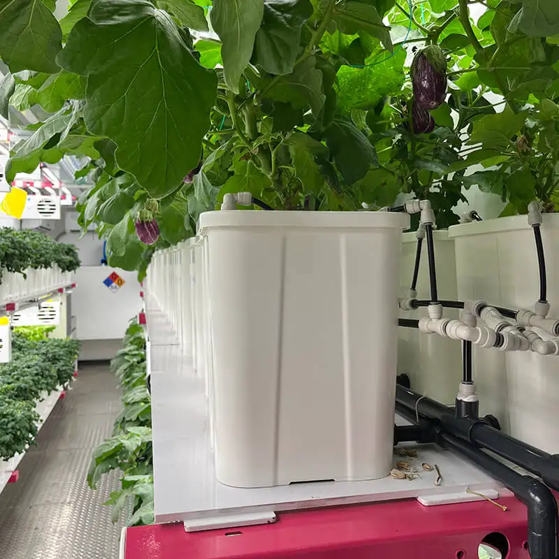 Smart Climate Control Growing Box Climate Chamber Vertical Aeroponic Farming Smart Farm System