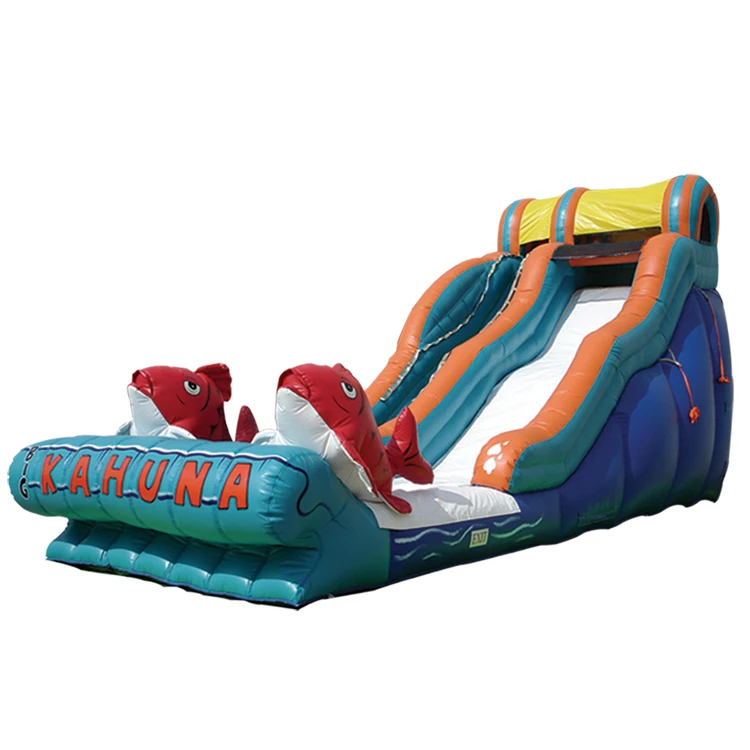 
New Style Big Kahuna Small Indoor Inflatable Water Slide with pool for Home 