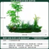 money tree1.5m long