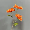 3-head Lanxi-Orange