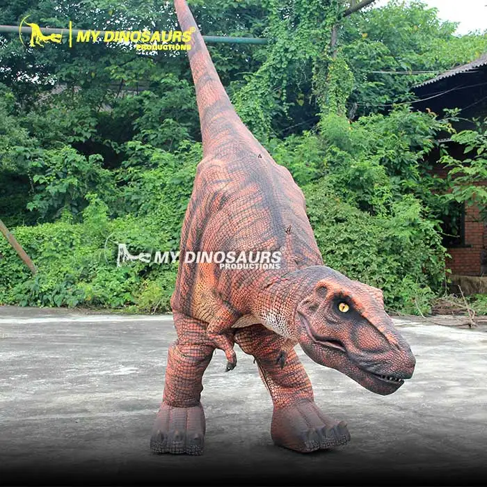 Wholesale Meu dino d49 adulto realista dinossauro, bebê t rex fantasia From  m.alibaba.com