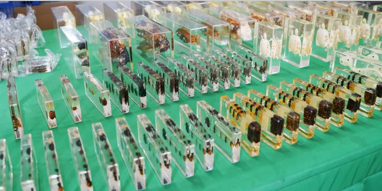 Nanning Titigood Education Technology Co., Ltd. 3