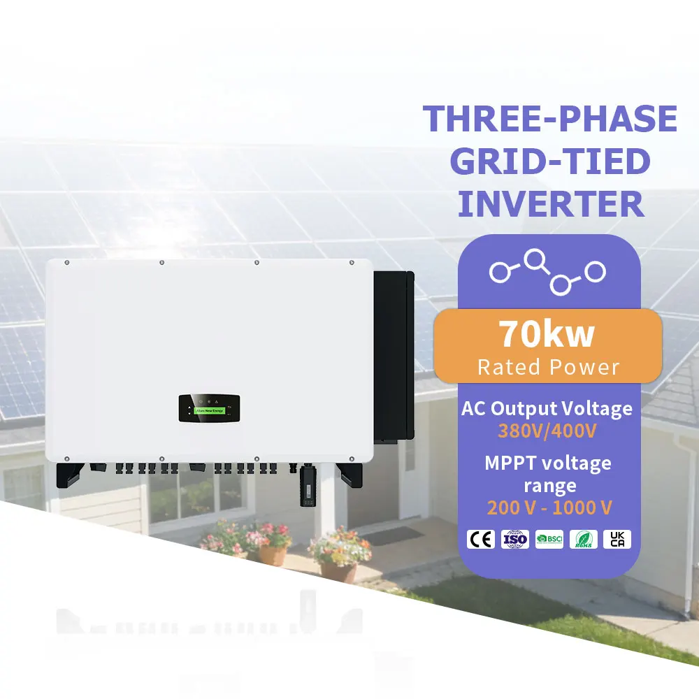 Competitive Price Three Phase IP66 70KW 80KW 100KW 110KW on Grid Sola
