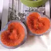 Bola de aguja peluda