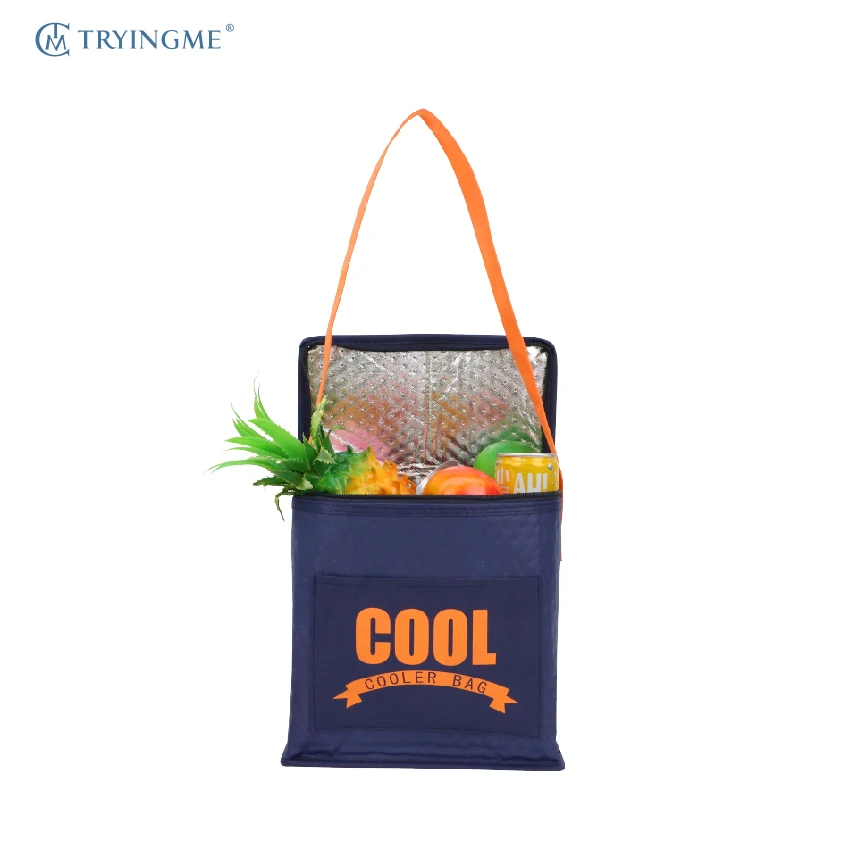 Insulated Lightweight  Lunch Tote Bag Leakproof Cooler Handle for Picnics Eco-Friendly Reusable for Wine Food Storage