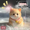 large orange doodle 130g