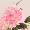 White/Pink