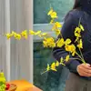 Dancing orchid long style yellow