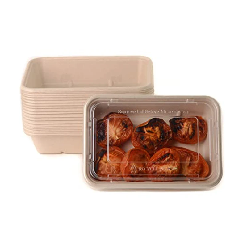 Sugarcane Bagasse Bento Box Disposable and Biodegradable Takeout Food ...