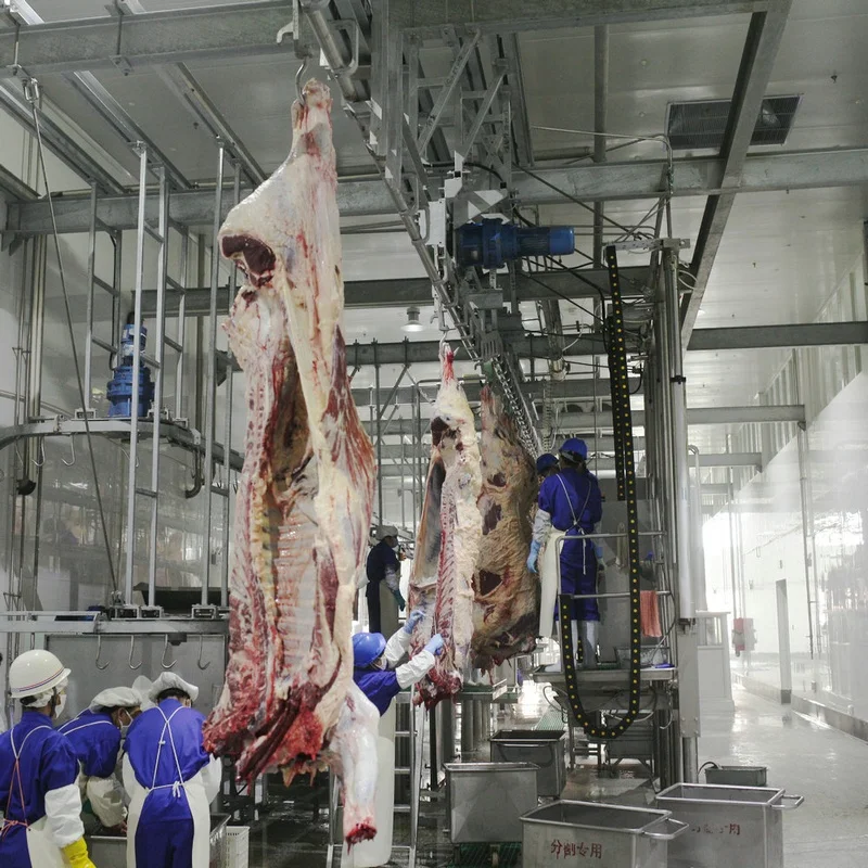 Intelligent Automatic Slaughterhouse System Halal Cow/Cattle Slaughterhouse